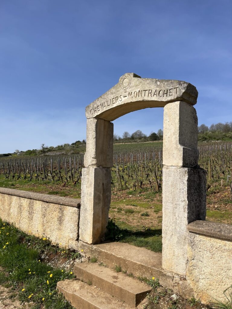 Chevaliers-Montrachet Grand Cru wijngaard