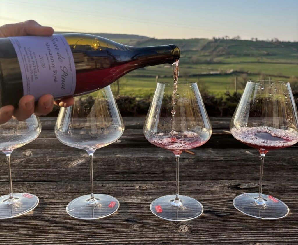 Domaine Sylvain Pataille wijn